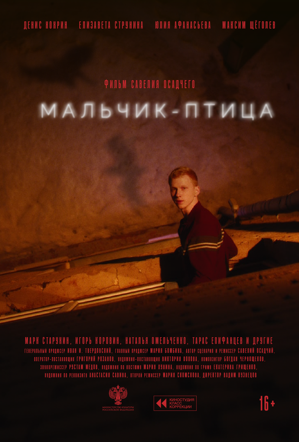Мальчик-птица - постер